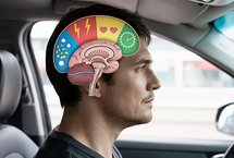 Grafika kierowcy z rysunkowym obrazem funkcji mózgu