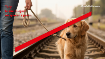 Przekreślony pies na smyczy prowadzony przez właściciela