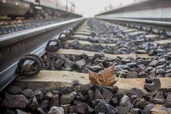 Tory, fot. Włodzimierz Włoch